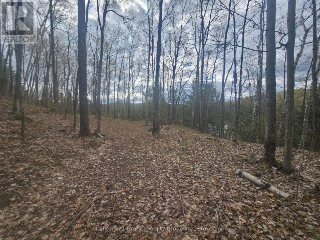 1325 ANDEK TRAIL, Salerno Lake