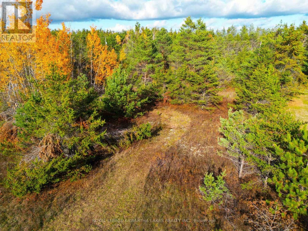 LT 36 HODGSON DRIVE, Kawartha Lakes (Somerville)