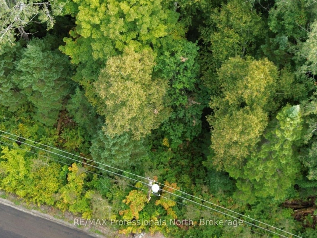 671 LYNX LAKE ROAD, 