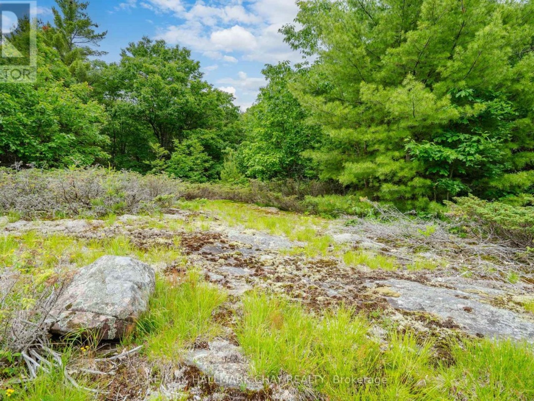 LOT 1 DELTA ROAD, Sparrow Lake