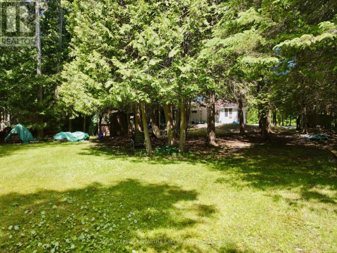 81 Mcguire Beach Road, Kawartha Lakes