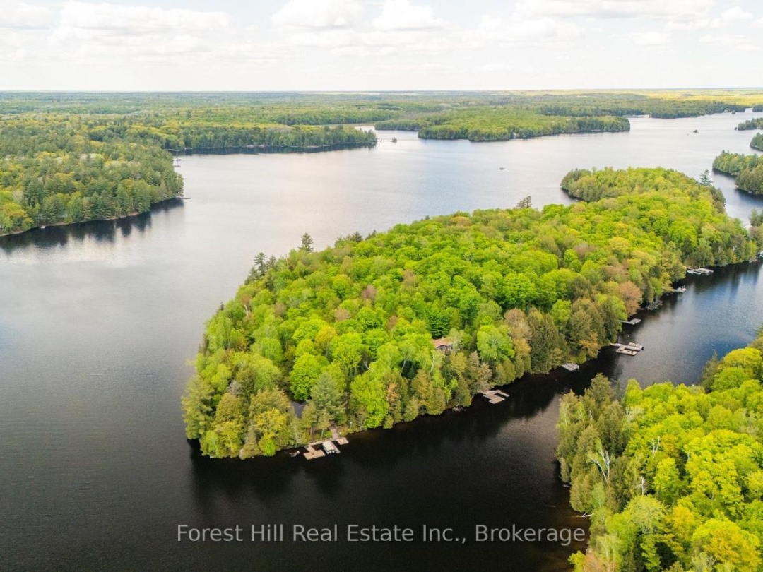 445 LORIMER LAKE ROAD, Lorimer Lake