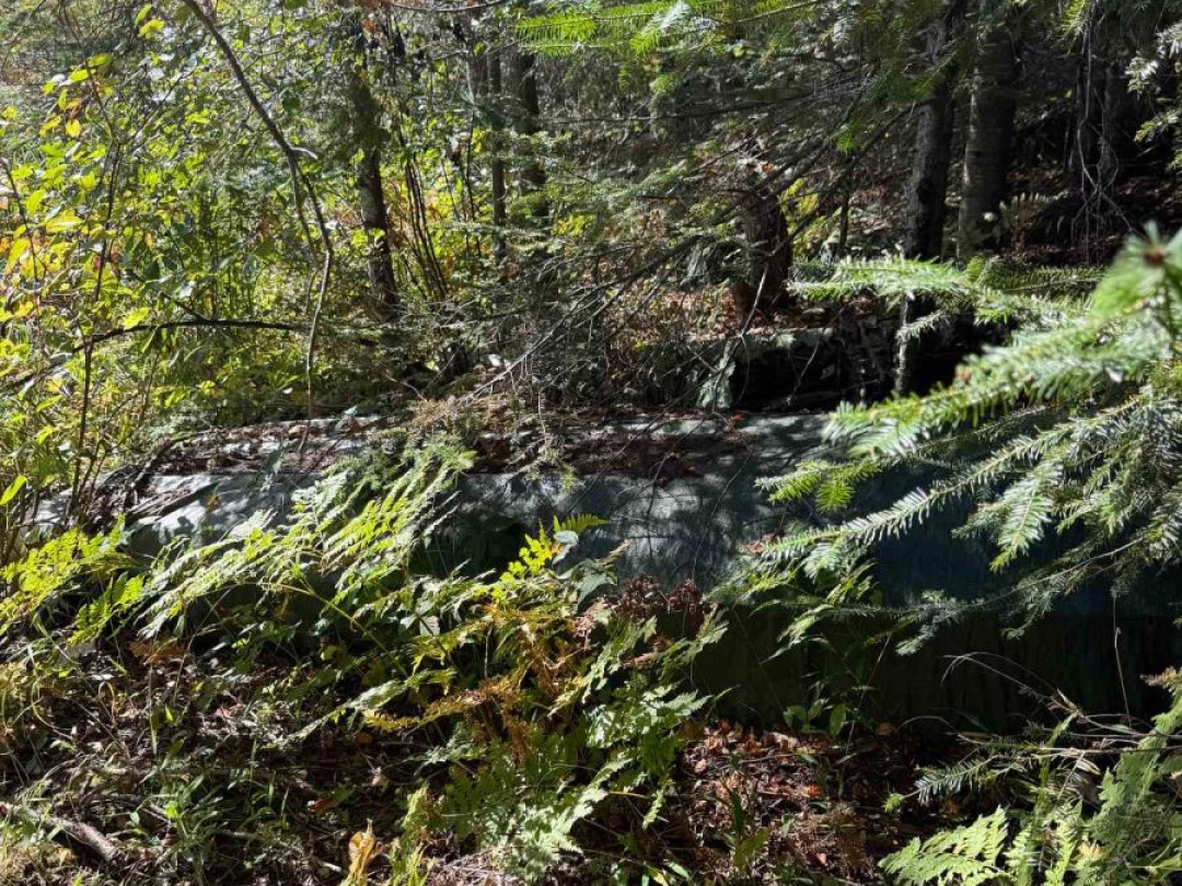0000 KOSHLONG LAKE ROAD, 