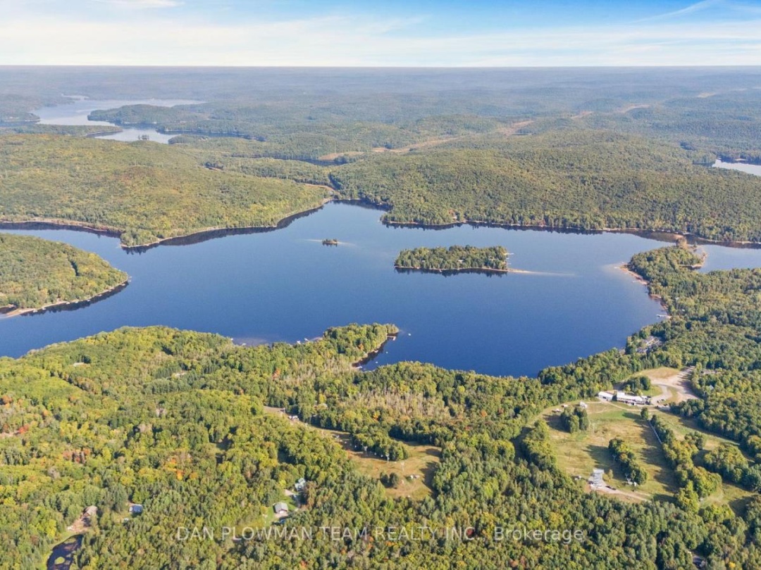 1409 BASSHAUNT LAKE ROAD, Dysart et al (Guilford)