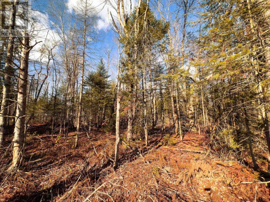 0 WEISMULLER LANE, Bracebridge (Draper)