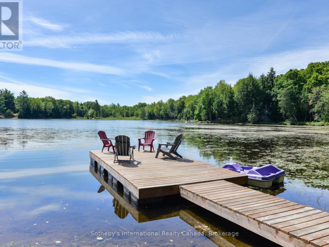 1211 PLUTO TRAIL, Boyne Lake