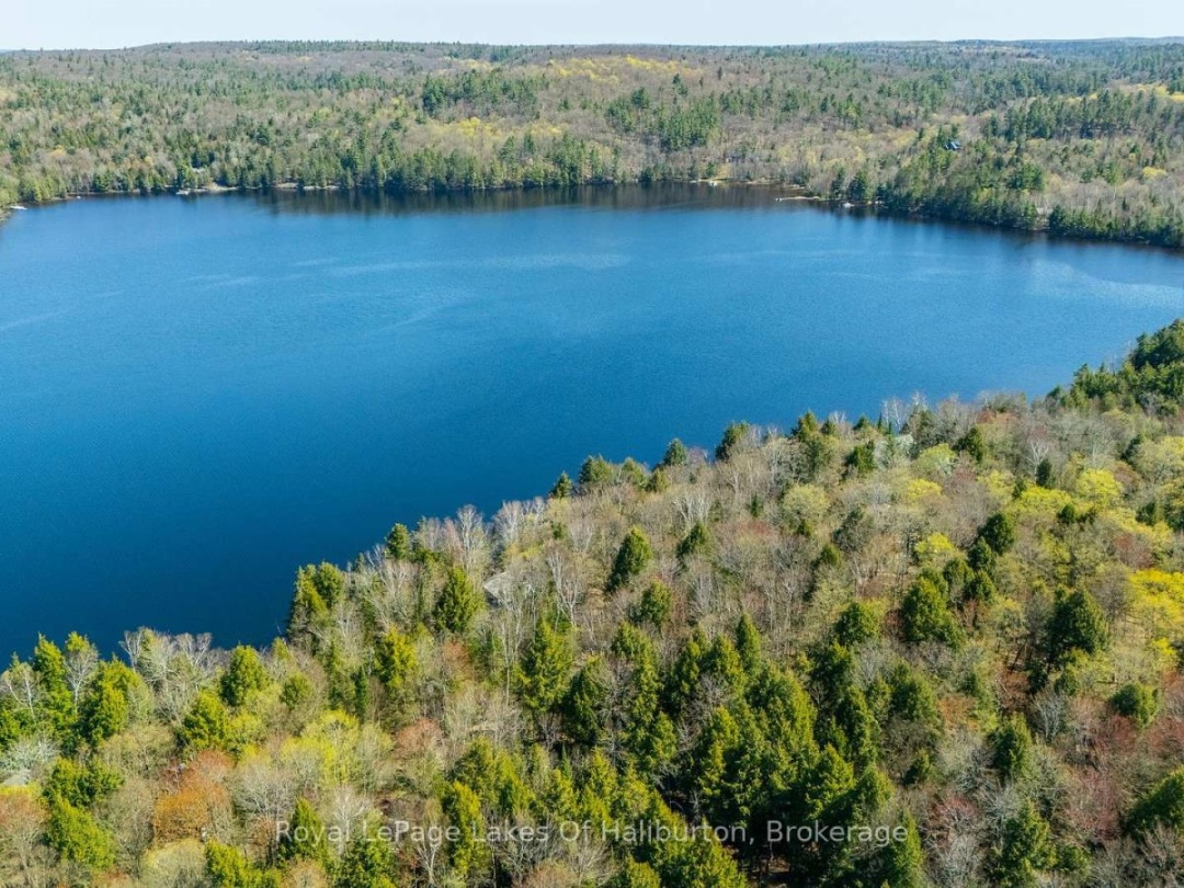 1096 REG'S TRAIL, Drag Lake