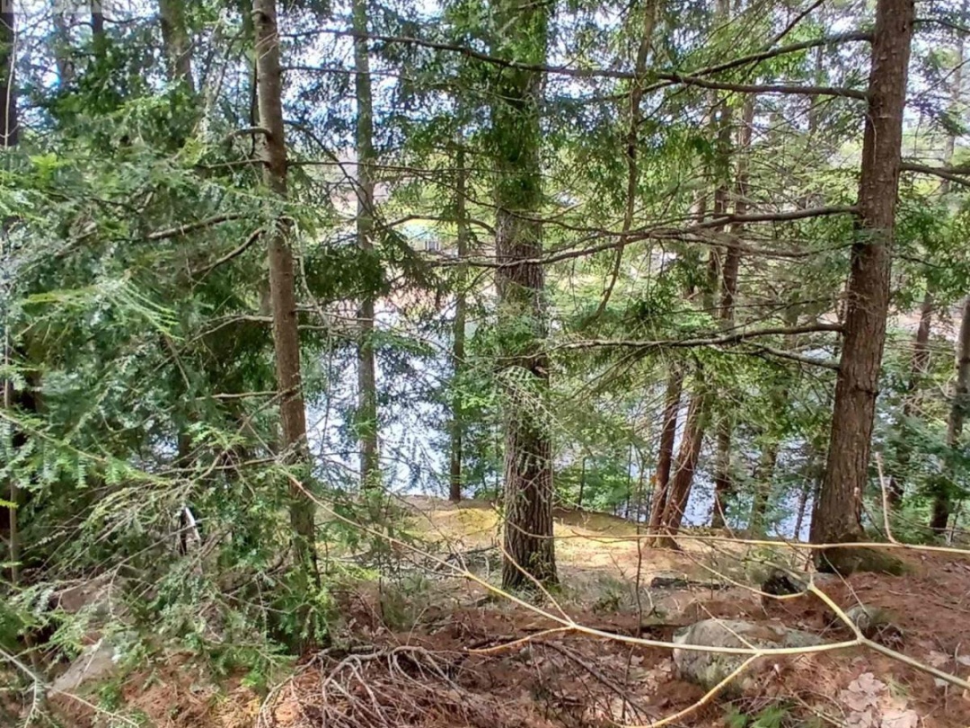 0 CONCESSION 3 ROAD, 