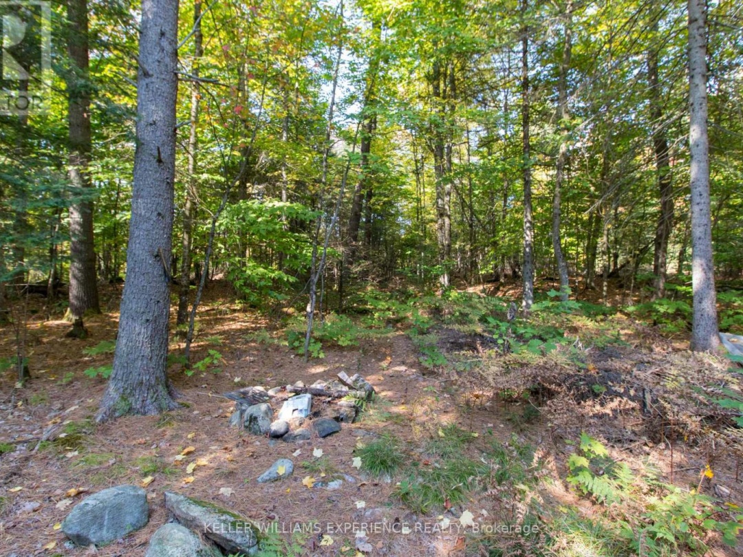 0 LYNX LAKE ROAD, Huntsville (Brunel)