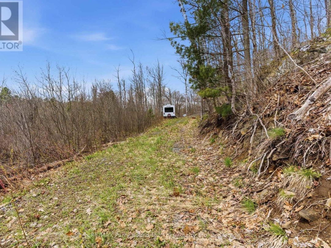 25 LAKE RIDGE ROAD, Bell Lake