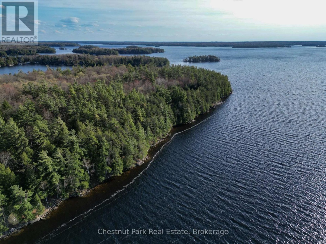 PINE (57 ISLAND M81) ISLAND, Lake Muskoka