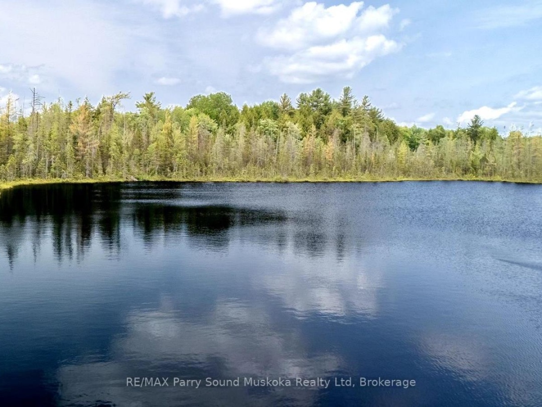372 MCDOUGALL ROAD, Meadow Lake