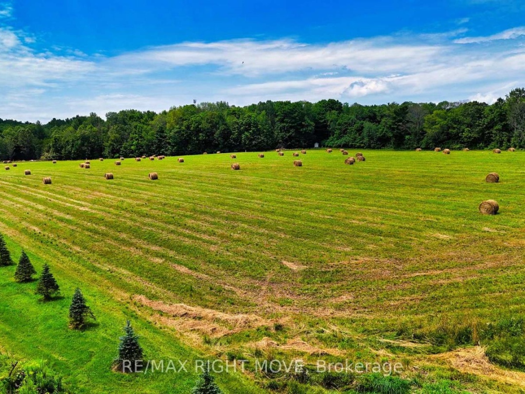 1390 Warminster Side Road, Oro-Medonte