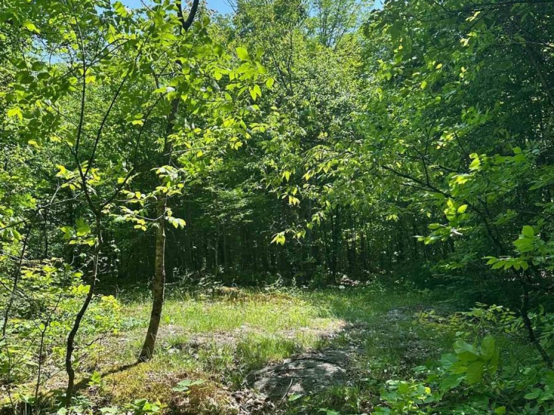1527 MADILL ROAD, Highlands East (Monmouth)
