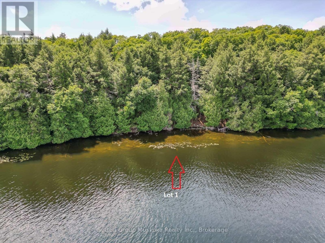 LOT 1 ESIG LANE, Rebecca Lake