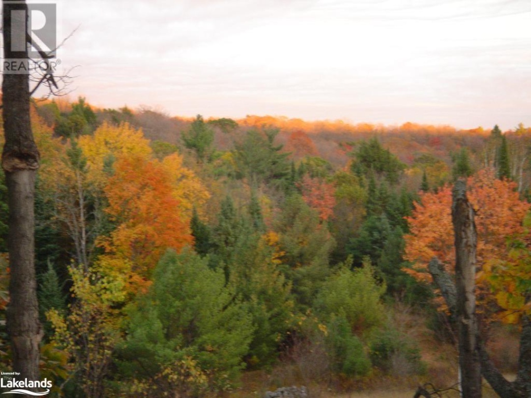 Lot 9 Concession 5, Whitehouse Lake