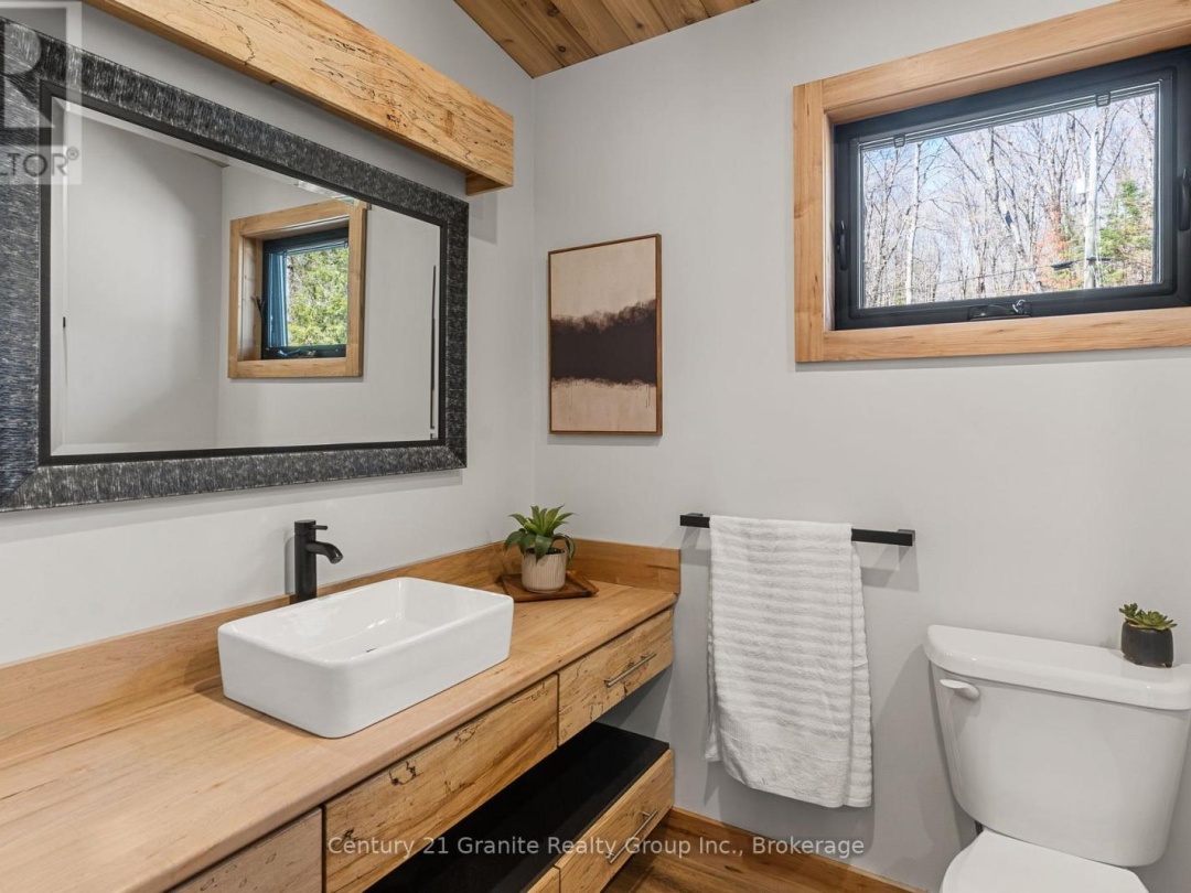 1133 SISU LANE, Long Lake