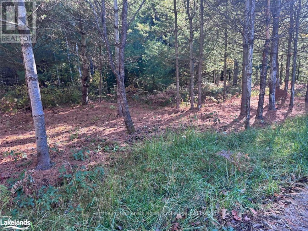 1081 HAWK VALLEY ROAD, Kennisis River