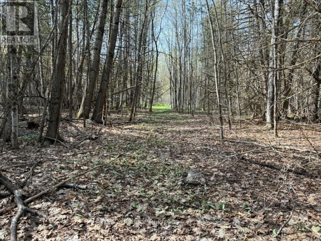 PT LOT 20 BESSIE AVENUE N, Pigeon Lake