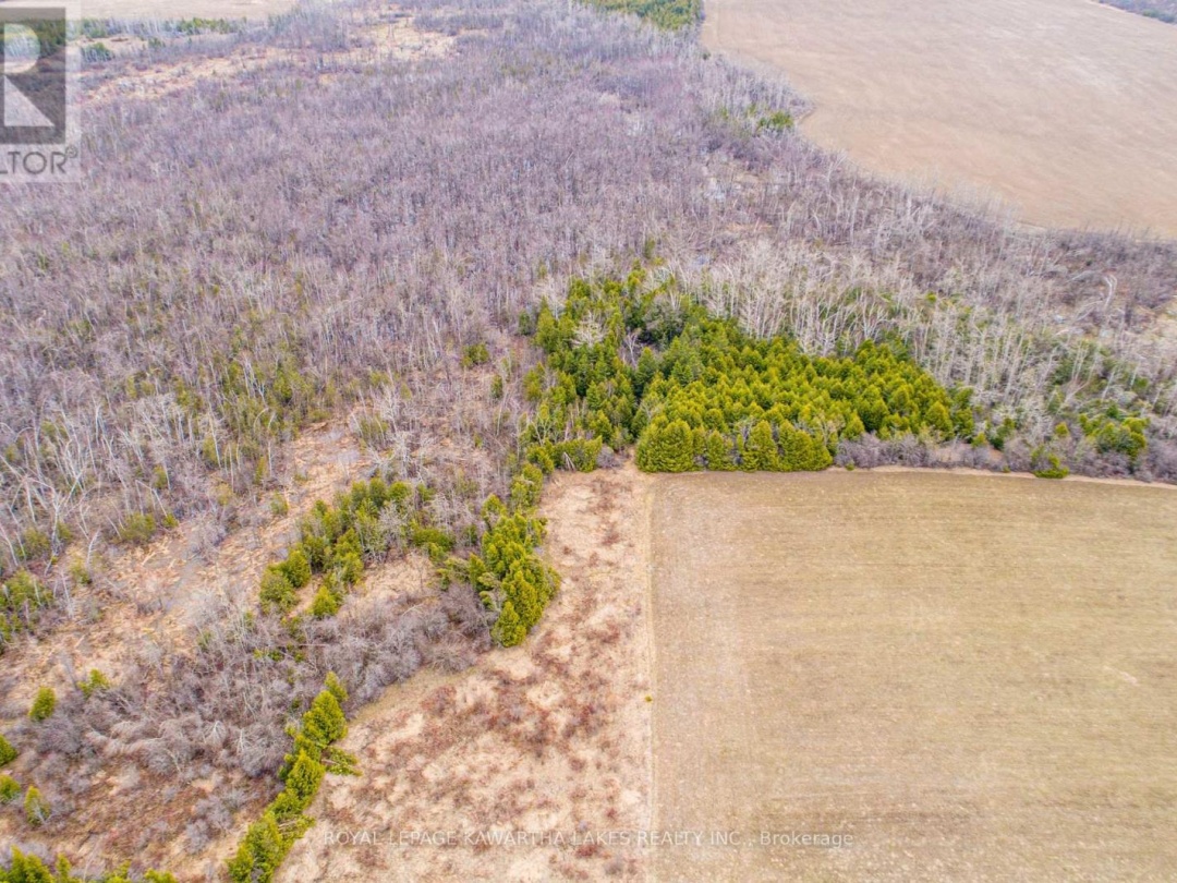 210 GRASSHILL ROAD, Kawartha Lakes (Woodville)