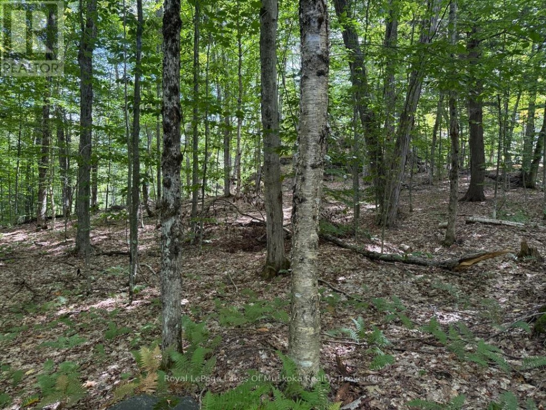 LOT 85 BRENNAN CIRCLE, Lake Vernon