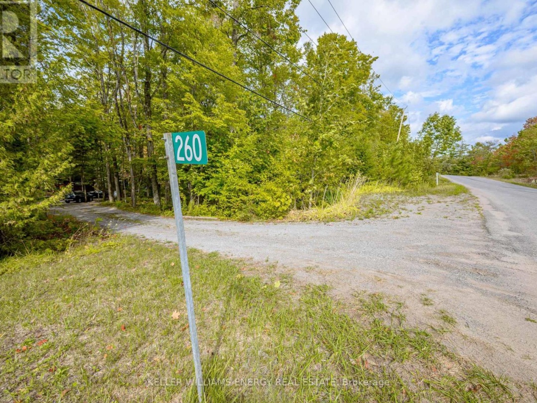 260 EDWINA DRIVE, 