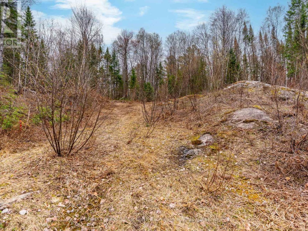 0 BRADY LAKE ROAD, Brady Lake