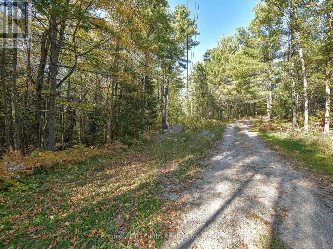 1112 SAM COOK ROAD, Little Sunny Lake