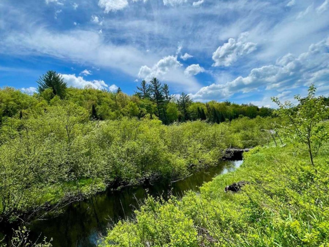 1235 Bonnie Lake Road, Bracebridge (Macaulay)