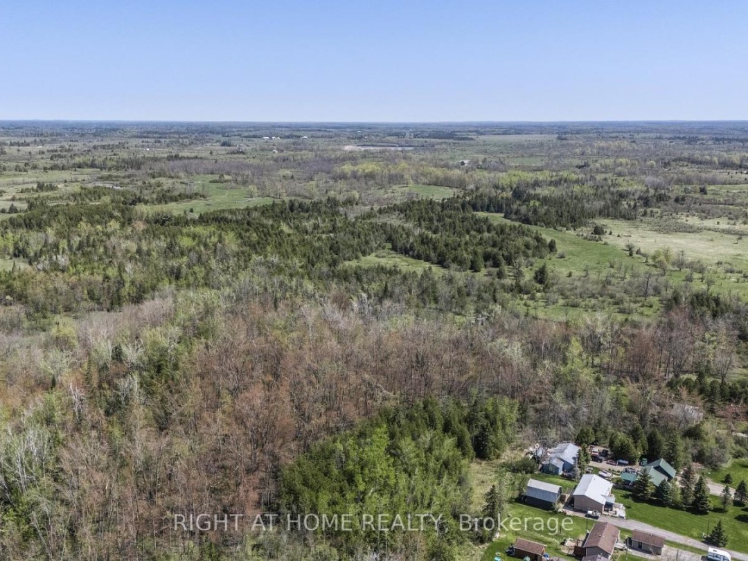 194 MCGUIRE BEACH ROAD, Kawartha Lakes (Carden)