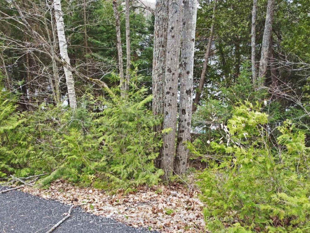 LOT 1 SHIELDS DRIVE, Horseshoe Lake