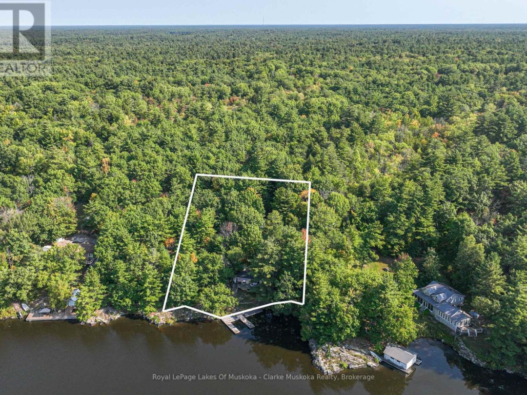 2910 MACLEAN LK N S ROAD, Black Lake