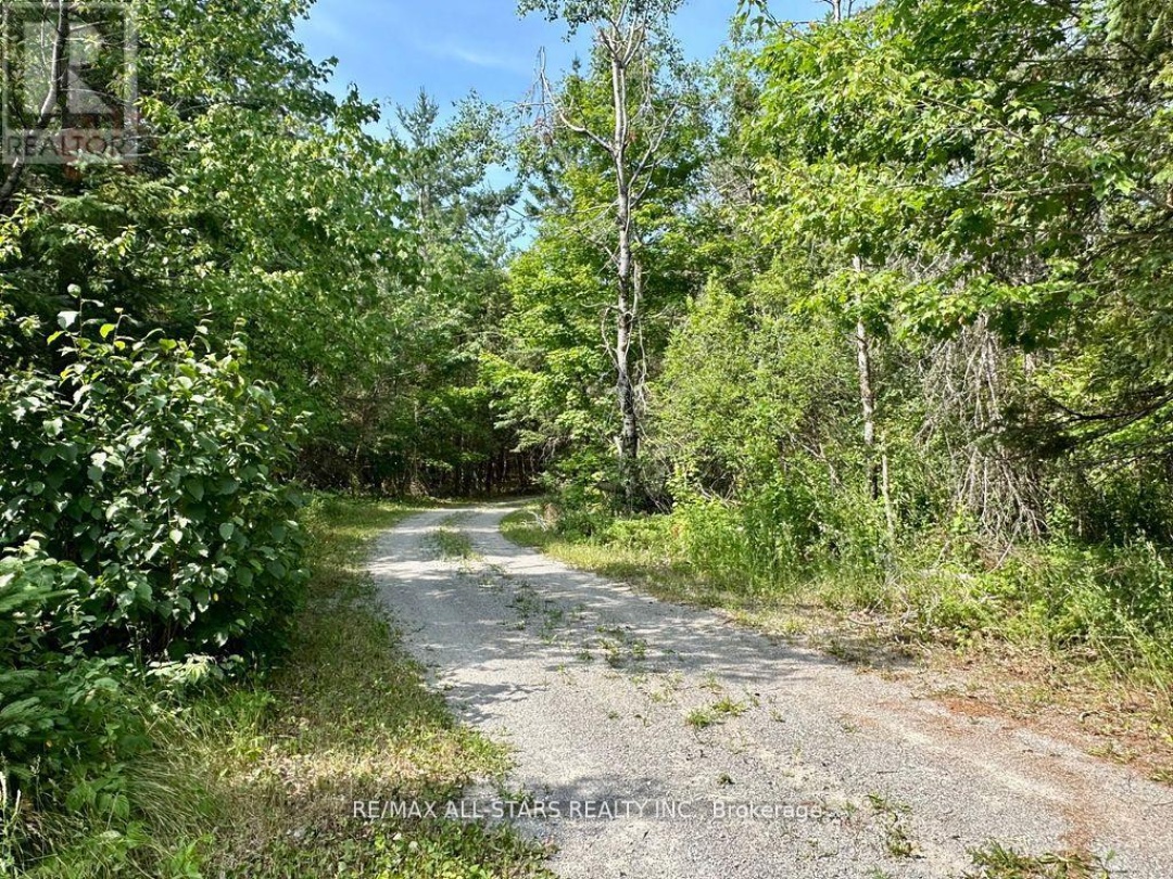 380 LEDGE ROAD, Trent Lakes