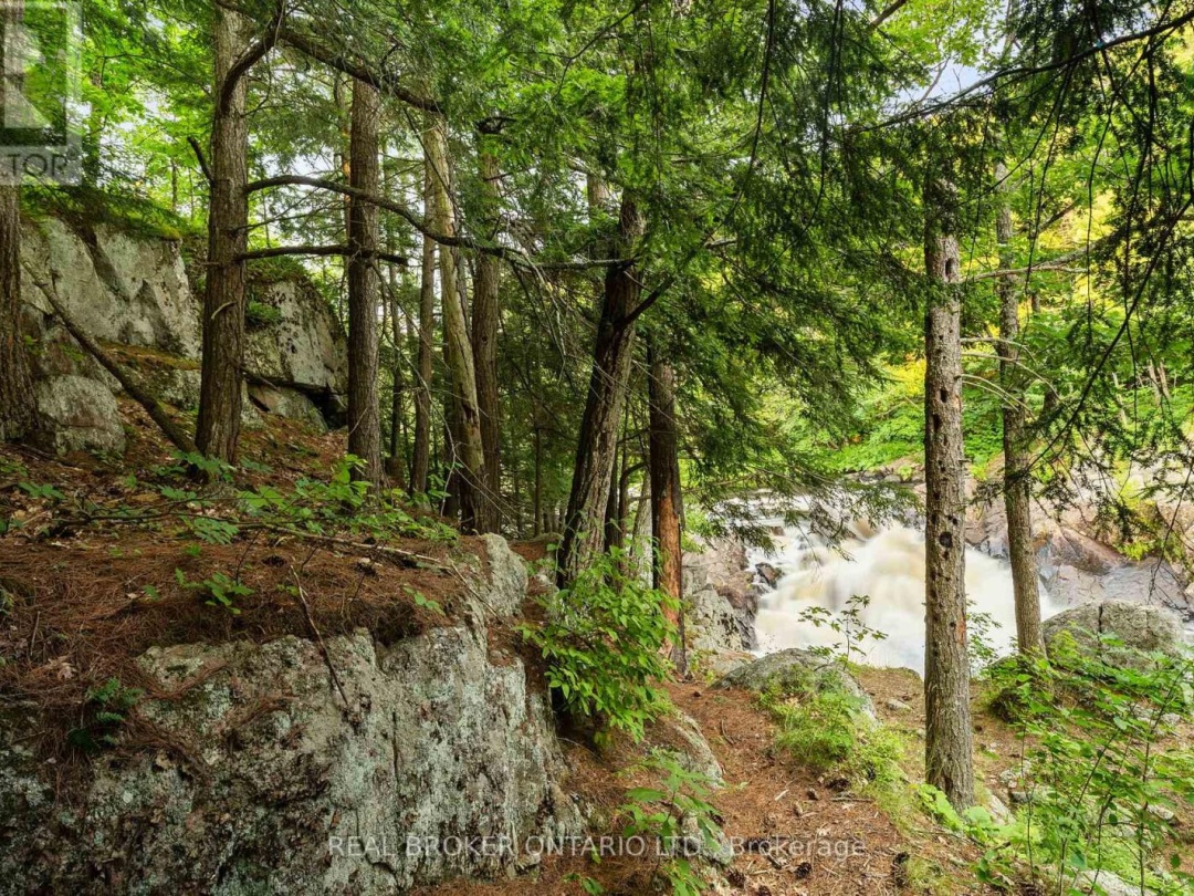 1401 COOPERS FALLS ROAD, Black River
