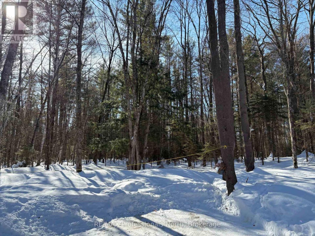 1124 LITTLE HAWK LAKE ROAD, Algonquin Highlands (Stanhope)