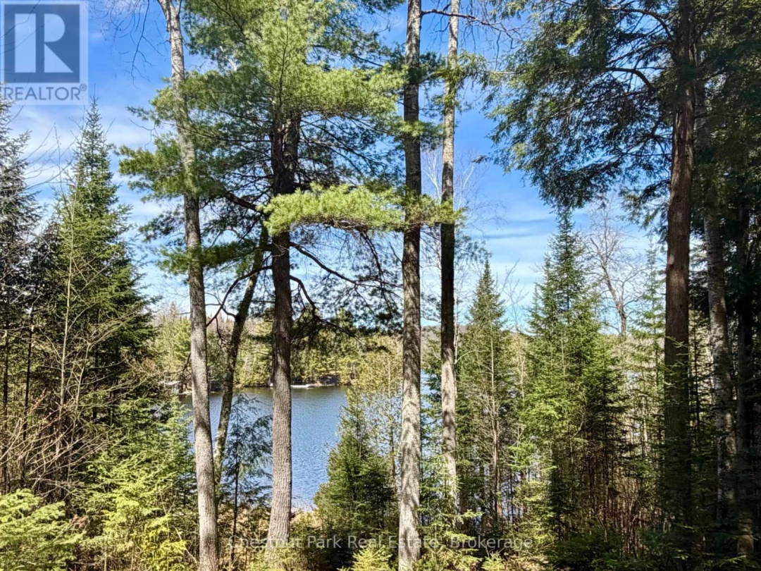 10453 COUNTY ROAD 503 ROAD, Gooderham Lake