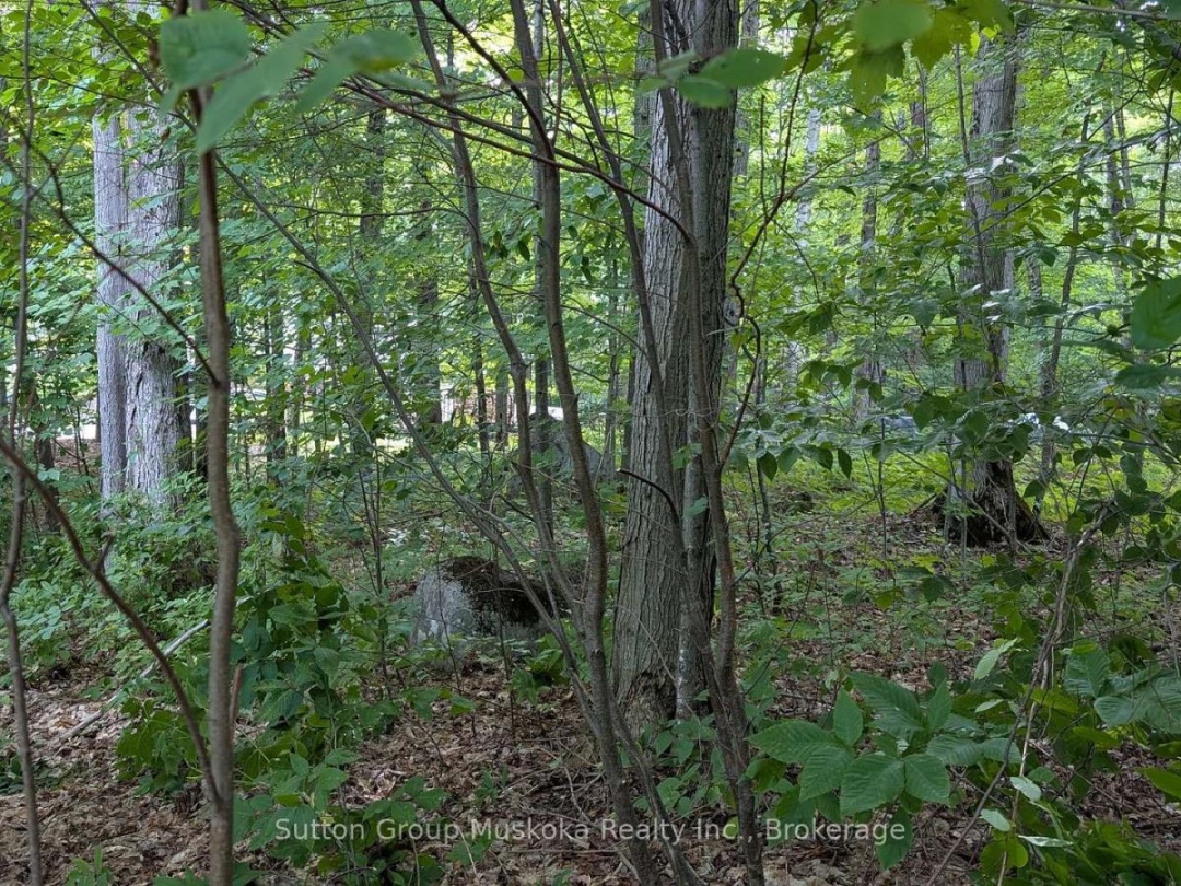 837 ASPDIN ROAD, 