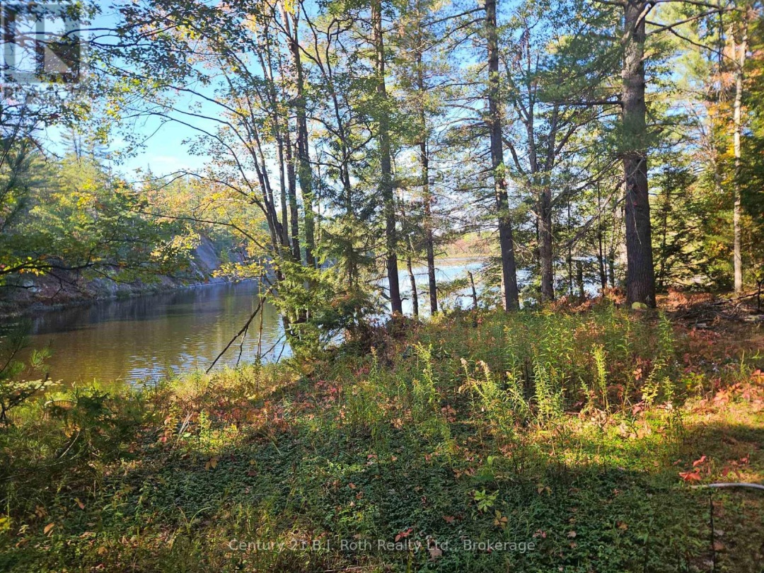 1112 SAM COOK ROAD, Little Sunny Lake