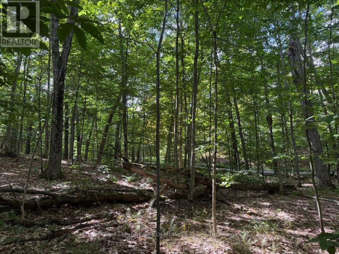 LOT 85 BRENNAN CIRCLE, Lake Vernon
