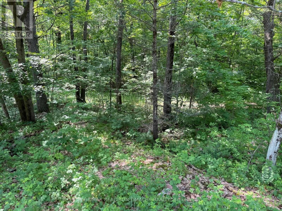 243 PRISQUE ROAD, Georgian Bay