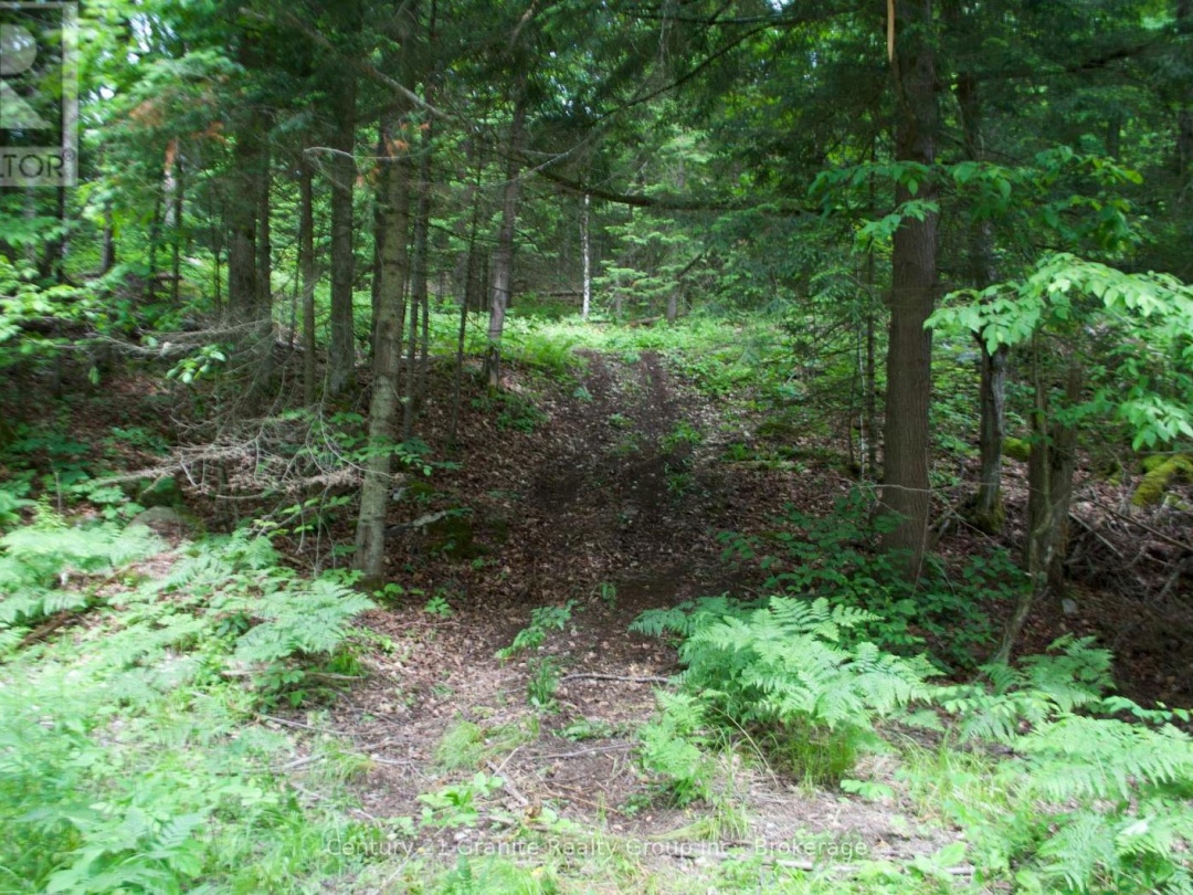 LOT 10 LOON LAKE ROAD S, Loon Lake