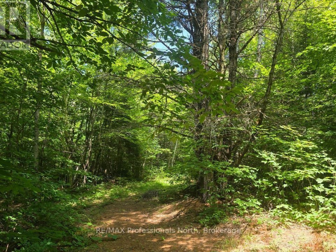 1134 WALKERS LINE ROAD, 