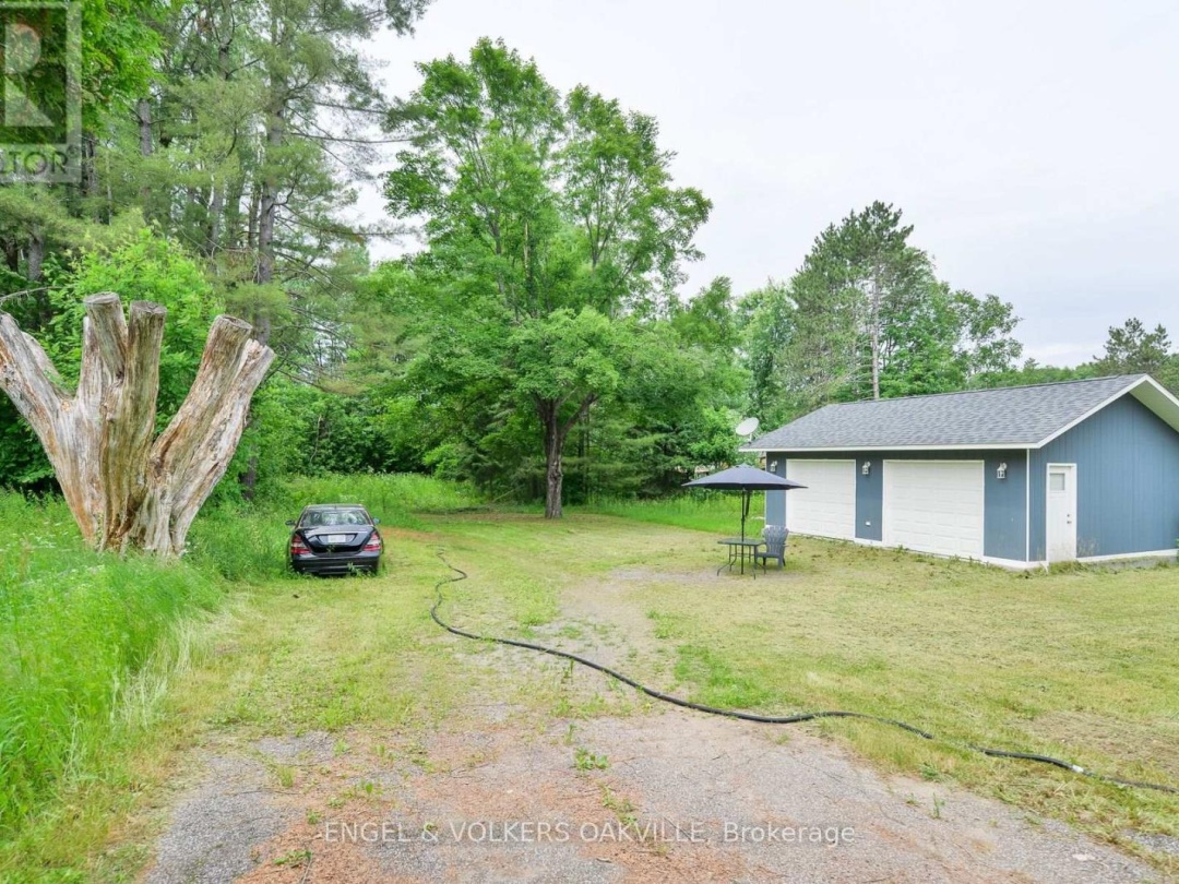 253 MAPLE STREET, Bracebridge (Macaulay)