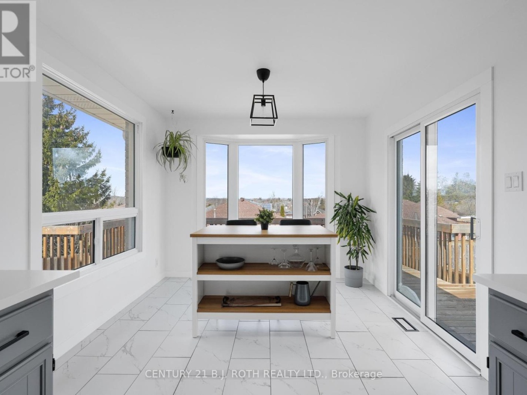 258 COLLEGIATE DRIVE, 