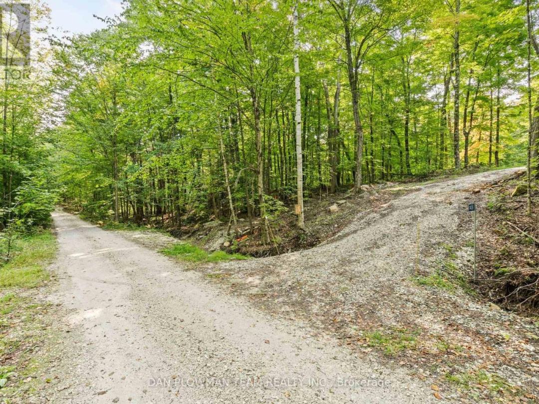 1409 BASSHAUNT LAKE ROAD, Dysart et al (Guilford)