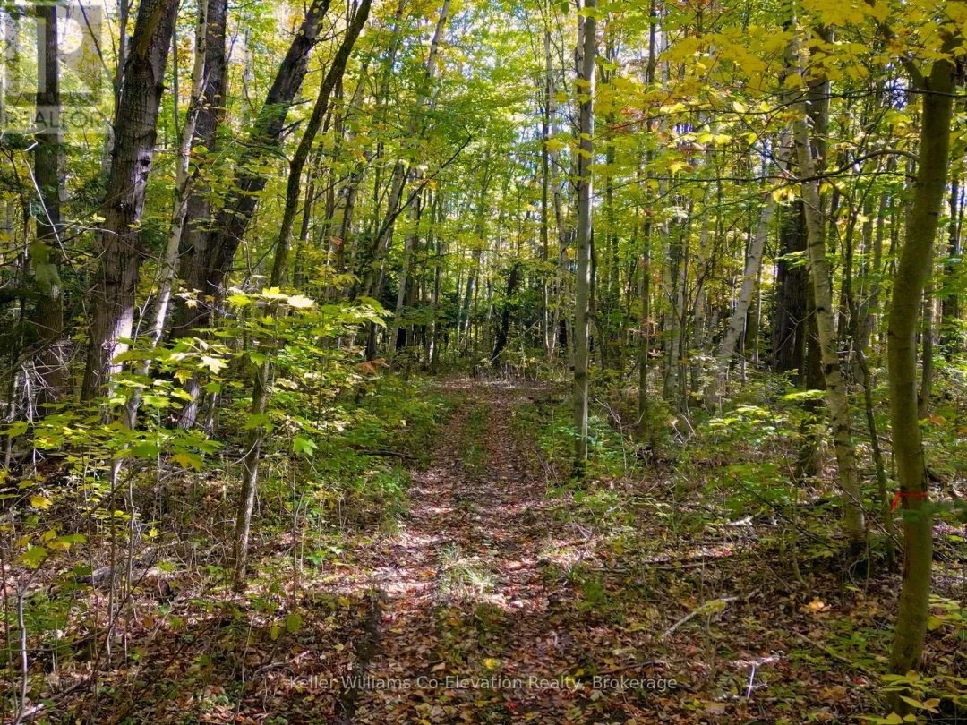 PT LT18 LINE 8 N, Oro-Medonte