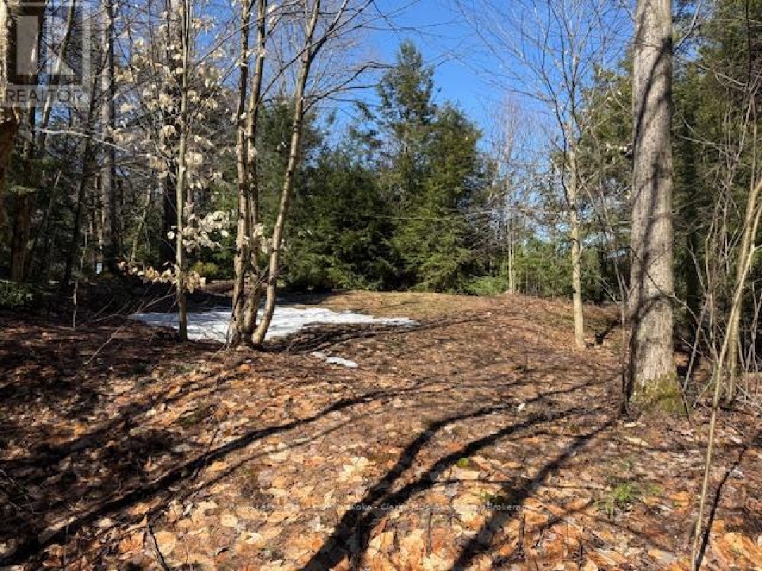 0 SOUTH CRANE LAKE ROAD, Crane Lake