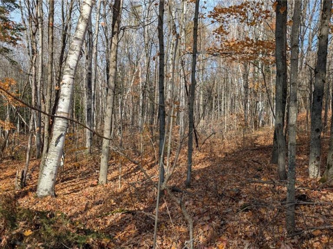 Lot 2 Tally Ho Winter Park Road, Lake Of Bays