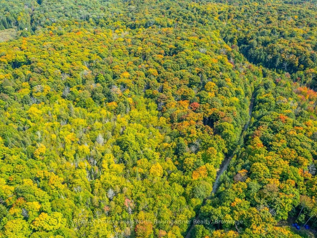 LOT 49 BASSHAUNT LAKE ROAD, 