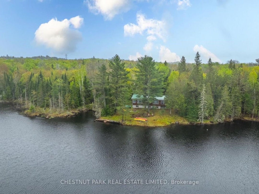 2411 SOYERS LAKE ROAD N, Soyers Creek